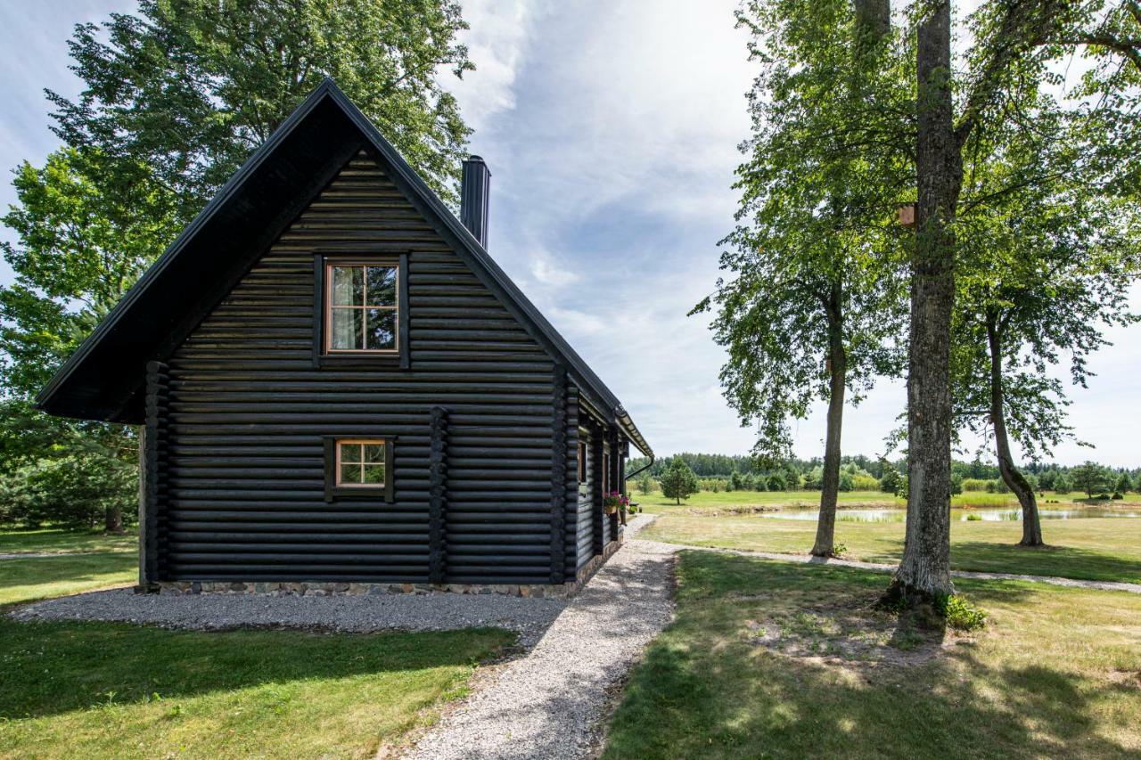 Vila Loreta - Namelis Su Pirtimi Dudoryne Eksteriør billede